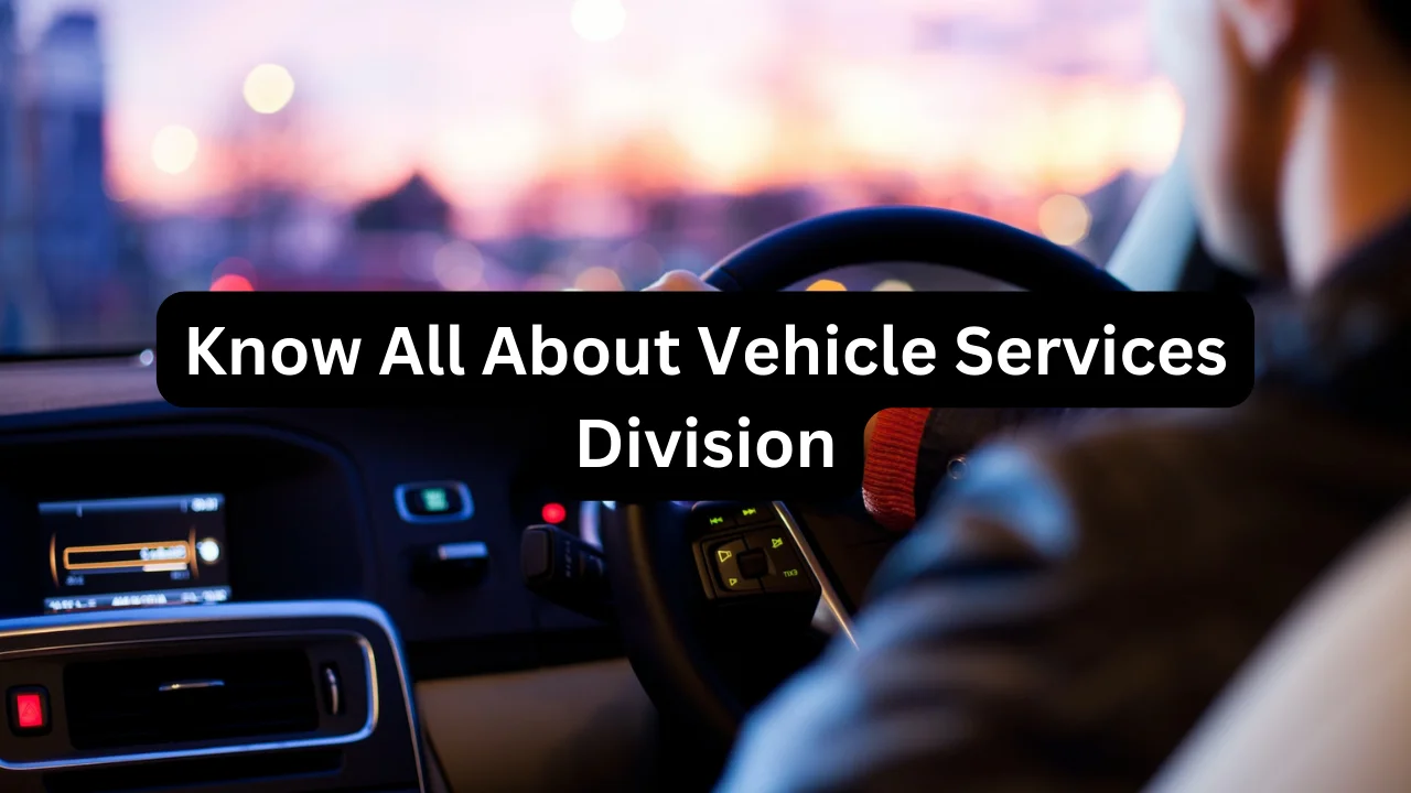 vehicle services division