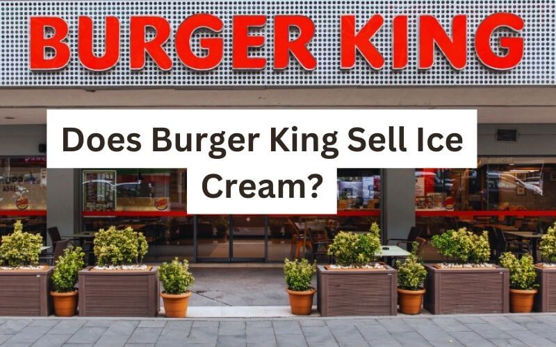 Does Burger King Sell Ice Cream