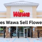 Does Wawa Sell Flowers