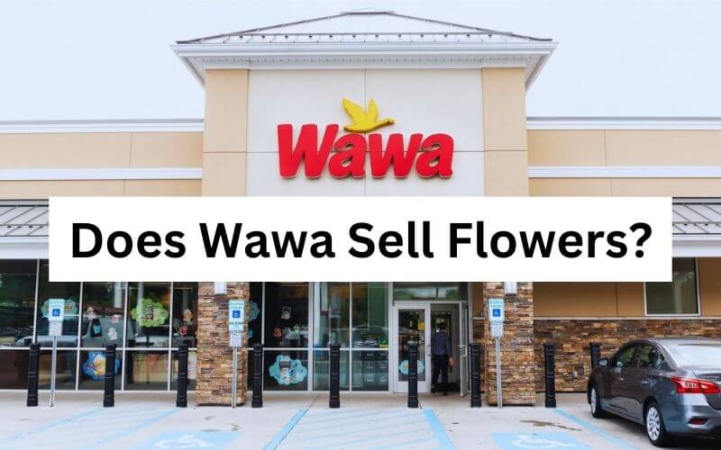 Does Wawa Sell Flowers